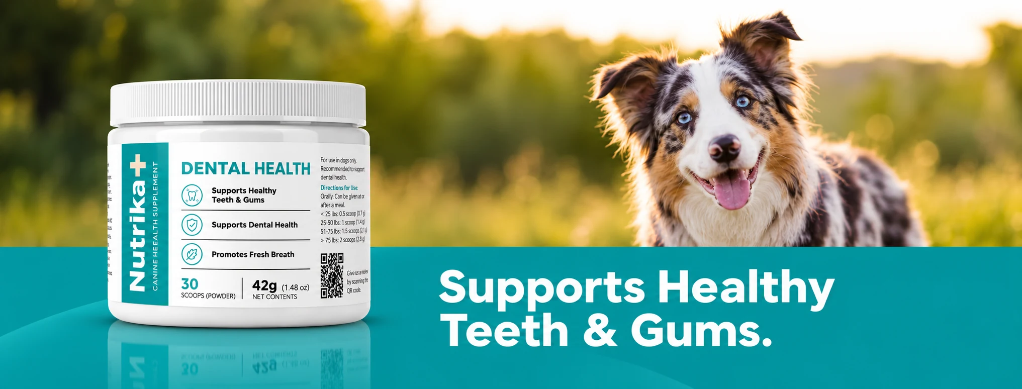 Nutrika+ Dental Health, 30 scoops, beside an Australian shepherd in a field — supports healthy teeth and gums